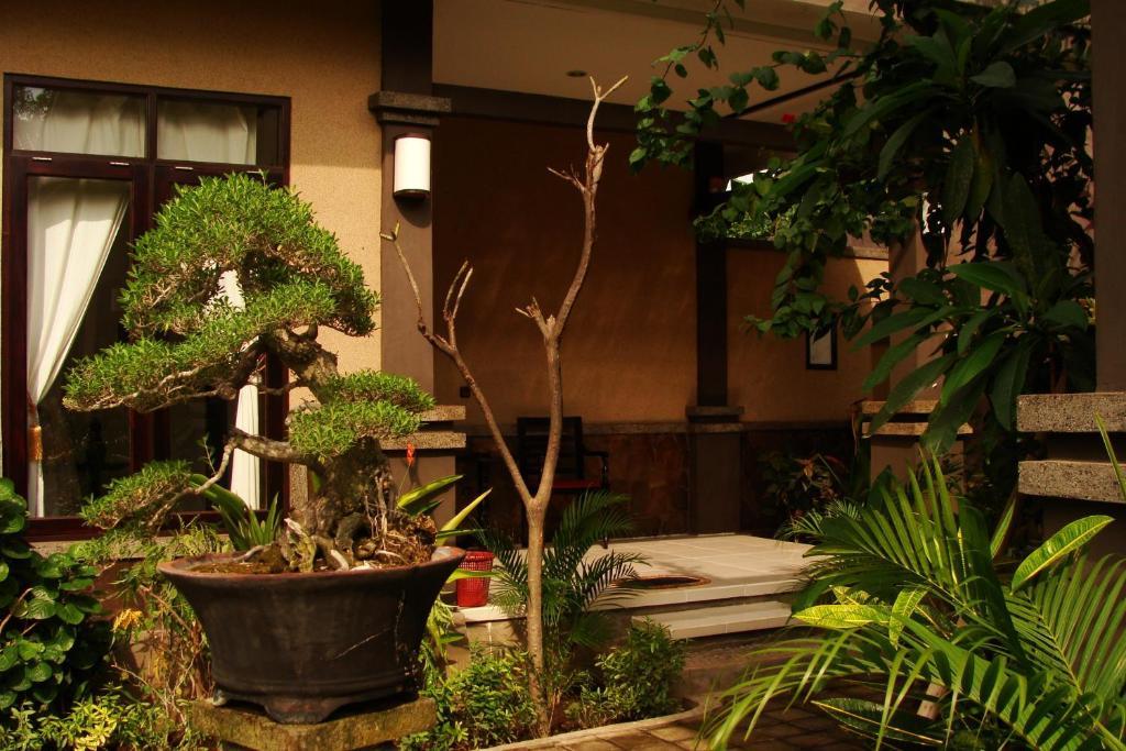 Doubleyou Homestay Pemuteran ภายนอก รูปภาพ